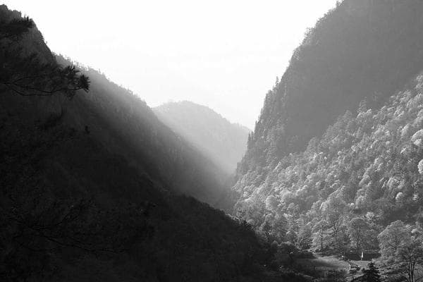 باغ رستوران الیاسام