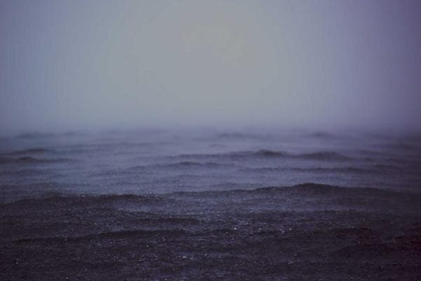 جاست فلافل شریعتی