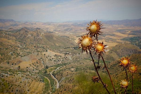 سالن مژه نیلین