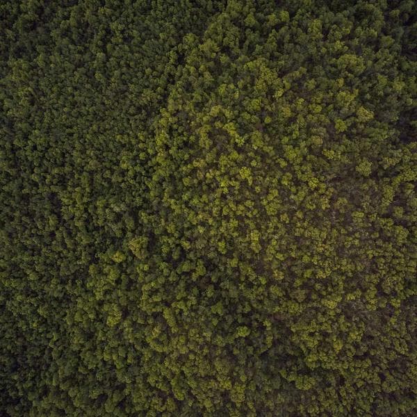 ⁨	امبره روسي 🍒با رنگ دلبر پاييز🍁 از اين رنگ أصلا تو پاييز نميشه گذشت🐿️🍂 مگه نه؟ #کاشت #کاشتناخنتهران #آمبره_ناخن #امبره #آمبره_روسی #زرشکی #ناخنکار #ناخن_خوشگل #cherry #cherrynails🍒 #cherrynails ⁩