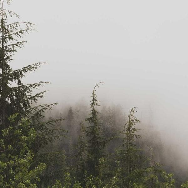 میکاپ همراه به این زیبایی و تمیزی دیده بودین ؟😌🫴🏻 تقدیم نگاه های ماهتون👀💕 📌اگر میخوای این میکاپ زیبارو با دست هنرمند استاد مهسا خرم روز داشته باشی با یکی از راه های زیر با ما در ارتباط باش❤️👇🏻 📍رزرو وقت میکاپ| مشاوره رایگان : دایرکت💌| 09148761706 #میکاپ #میکاپ_vip #همراه_عروس #عروس #سالن_زیبایی #اردبیل #میکاپ_شینیون