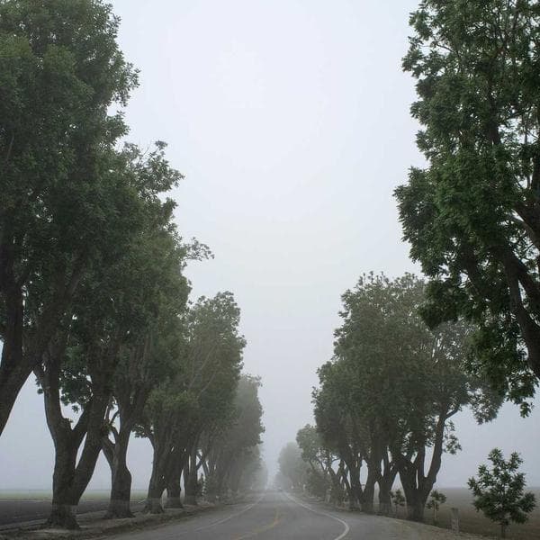 در قلب نیاوران، جایی میان درختان کهنسال و فضایی سرسبز، خاطراتی ماندگار خلق می‌شوند. 🌿✨ باغ عمارت دستان، تلفیقی از اصالت، زیبایی و شکوه برای برگزاری مراسم‌هایی که قرار است تا سال‌ها در ذهن و قاب عکس‌ها بدرخشند. از جشن عروسی و نامزدی گرفته تا مراسم‌های خاص و دورهمی‌های باشکوه، هر جزئیات با عشق و دقت طراحی می‌شود تا روز رویایی شما دقیقاً همان‌گونه رقم بخورد که تصور کرده‌اید. 📍 نیاوران 📸 لوکیشن اختصاصی عکاسی 🌳 فضای باز و باغی چشم‌نواز 💎 خدمات تشریفاتی حرفه‌ای برای بازدید و دریافت مشاوره، پیام دهید. #باغ_عمارت_دستان #باغ_عروسی #تشریفات_عروسی #عروسی_لاکچری #باغ_نیاوران تشریفات_تهران عقد_در_باغ عروسی_تهران باغ_عمار⁩