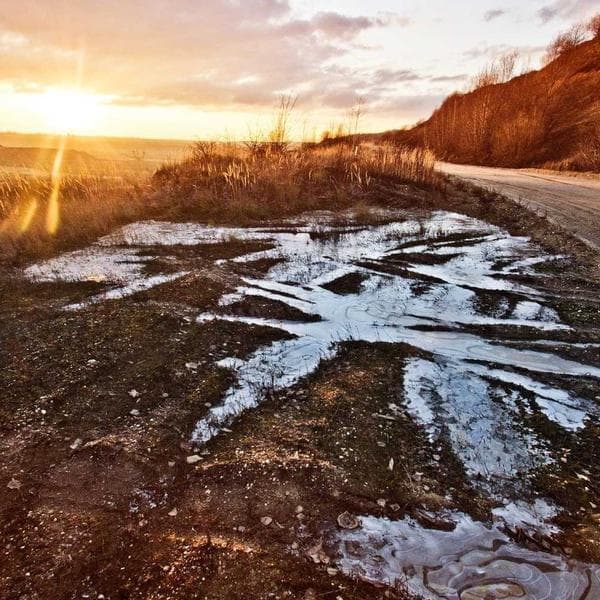 ‎کاشت ناخن(هلویی،ساده)۴۰۰تا۶۰۰تومان ‌‎ترمیم (هلویی ،ساده۲۰۰ ) تومان ‌‎لاک ژل ساده۱۱۰ تومان ‌‎لاک ژل حرارتی ،مگنتی،آیس،دیسکو،چشم گربه ای ،…۱۴۰تومان ‌‏‌‌‎👑مركز فوق تخصصي ناخن نیلوفر 👑 . ‌‏‌‌‎💅با ۱۴سال سابقه خدمات وآموزش💅 . ‌‏‌‌‎💅💅لاين تخصصي كاشت :پودر -پلی ژل-لمینت٫… . ‌‏‌‌‎🎨🎨لاين فوق تخصصي طراحي:،گل برجسته،مينياتور،شوگر افكت،طراحی چهره... و جديدترين رنگها و تكنيكهاي ژليش🎨🎨 . ‌‏‌‌‎🎓🎓دارنده مدرك بين المللي و فني حرفه اي و مدرك تخصصي آموزش كمپاني ATTRACTION ‌‎‌‏ @niloofarbeautybar ‌‎‌‏ @niloofarbeautybar ‌‎‌‏ @niloofarbeautybar ‌‏‌‌‎💡💡⁉️⁉️آيا ميدانيد براي يك ناخنكار حرفه اي هميشه و همه جاي دنيا كار هست؟؟ 🤔🤔 ‌‏‌‌‎🤝🤝🤝با ما حرفه اي شويد🤝 ‌‎‌‏ @niloofarbeautybar ‌‎‌‏ @niloofarbeautybar ‌‎‌‏ @niloofarbeautybar . ‌‏‌‌‎👌🏼تضمين ورود به بازار كارو صاحب يك شغل پر درآمد ‌‏‌‌‎ ✔️تعهد ما به شما آموزش تخصصي و حرفه اي (١ماه  و فشرده) ‌‏‌‌‎‌‏🆓🆓جلسات رفع اشكال بعد از اتمام دوره تا مرز حرفه اي شدن كاملا رايگان مي باشد🆓🆓 . ‌‎ #ناخن #ناخن_خوشگل #ناخن_شیک #ناخنکار #ناخنکارتهرانپارس #مرکزناخن #ناخن_عروس #کاشت_ناخن #ترمیم_ناخن #طراحیناخن #ناخنکارتهران #نیلبار_تهرانپارس #ژلیش_ناخن #ژلیش #ژلیش_ناخن_طبیعی #پدیکور #مانیکورناخن #اکسپلور #ترند #تهرانپارس #ناخنتهرانپارس #مرکزناخن #مرکزناخنتهرانپارس