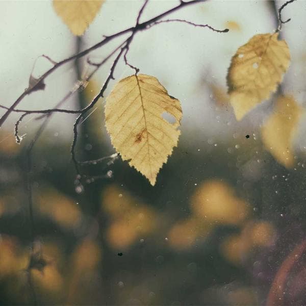 @foroogh.tattoo لنگرود سالن زیبایی ساغر