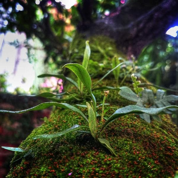 یه وقتایی نمی‌دونی چی بپوشی… نه حال رسمی داری، نه می‌خوای خیلی معمولی باشی 😕 اینجا همون‌جاست که یه کت‌وشلوار خوش‌دوخت، می‌تونه خیلی به کارت بیاد 👌👔 مرتب، ساده، بی‌دردسر… و همیشه شیک 😌🖤 برای قرارایی که جدی نیستن ولی مهم می‌شن🤭 یا روزایی که فقط دلت می‌خواد از خودت راضی باشی ✨🪞 این یه انتخابه بی نقضه برای تو! ⸻ 📍 آدرس ما: یزد، خیابان مطهری، چهارراه فرهنگیان، کوچه شهید نجاریان، بن‌بست دوم، پلاک ۱۸ ☎️ تماس با ما: ۰۹۱۳۲۵۴۰۵۶۵ ⸻ #مانتو #کت_شلوار #کت_شلوار_سورمه_ای #مزون_پهلوانی #مزون #لباس_زنانه #استایل_مینیمال #دوخت_شخصی #مانتو_شیک #زیبایی #مزون #مزون_شخصی_دوز #مزون_پهلوانی