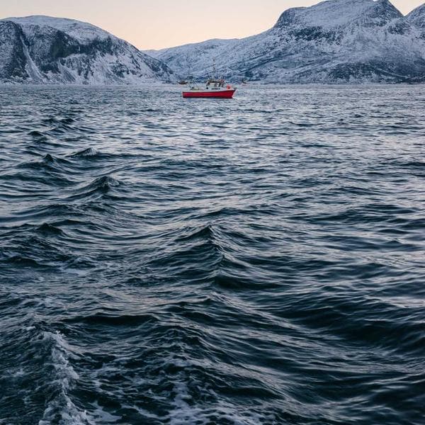 مثل همیشه کلی تخفیف و افر ویژه منتظرته تا با خیال راحت رزروت تو بهترین سالن زیبایی عروس تهران انجام بدی….😍🍃✨ برای رزرو بازدید عروس جمعه ۱۹ تیر عدد ۶ کامنت کن🤍🙏🏻 @mohadeseh_sharifiiii @mohadeseh_sharifiiii @mohadeseh_sharifiiii #میکاپ #شنيون #عروس #عروسی #زیبایی #زیبا #تغییر #عروسک_خاص #بازدید #بازدید_عروس #زیبایی #داماد