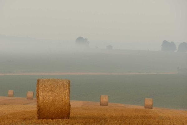 کافه رستوران ربلان