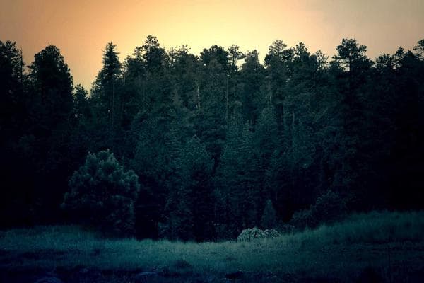 سالن زیبایی سارا بهاوتی