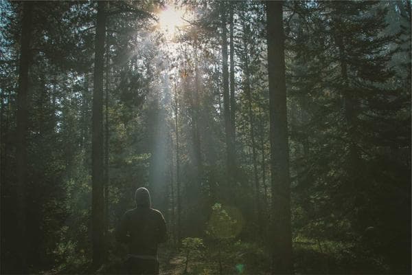 آرایشگر سهپیدهباغهرزاده